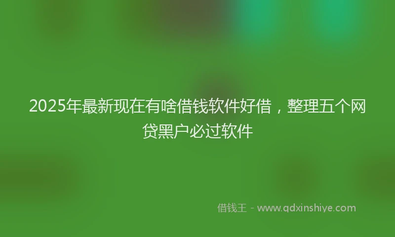 2025年最新现在有啥借钱软件好借，整理五个网贷黑户必过软件