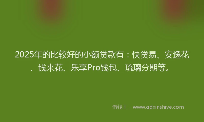 2025年的比较好的小额贷款有：快贷易、安逸花、钱来花、乐享Pro钱包、琉璃分期等。
