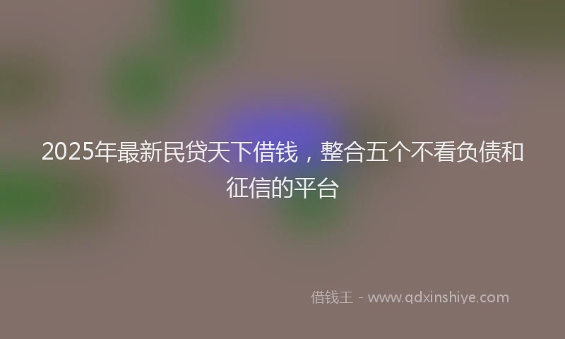 2025年最新民贷天下借钱，整合五个不看负债和征信的平台