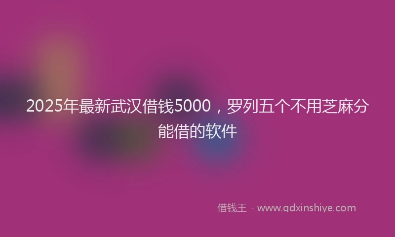 2025年最新武汉借钱5000，罗列五个不用芝麻分能借的软件
