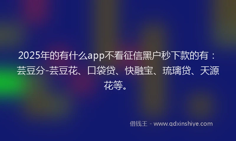 2025年的有什么app不看征信黑户秒下款的有：芸豆分-芸豆花、口袋贷、快融宝、琉璃贷、天源花等。