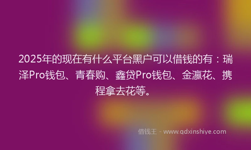 2025年的现在有什么平台黑户可以借钱的有：瑞泽Pro钱包、青春购、鑫贷Pro钱包、金瀛花、携程拿去花等。