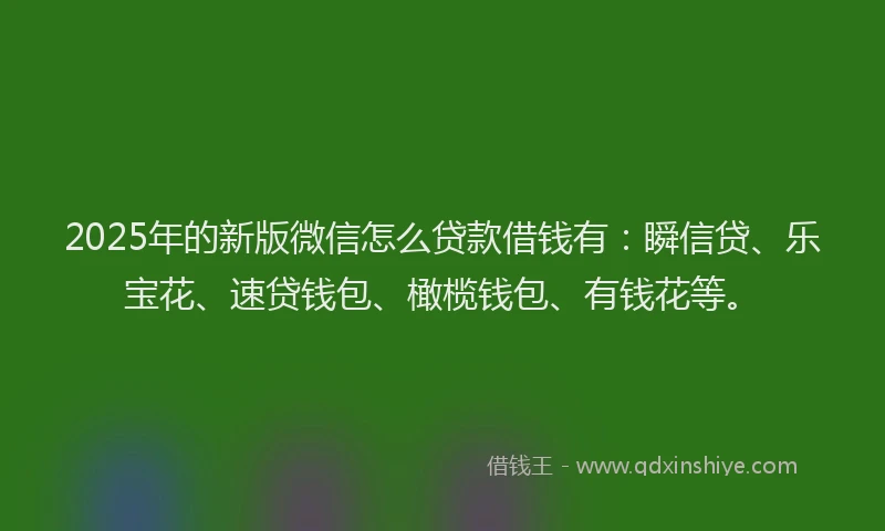 2025年的新版微信怎么贷款借钱有：瞬信贷、乐宝花、速贷钱包、橄榄钱包、有钱花等。
