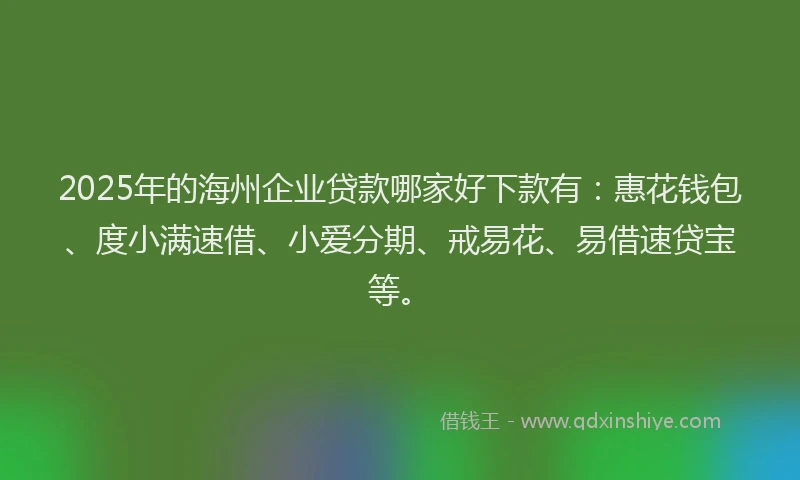 2025年的海州企业贷款哪家好下款有：惠花钱包、度小满速借、小爱分期、戒易花、易借速贷宝等。