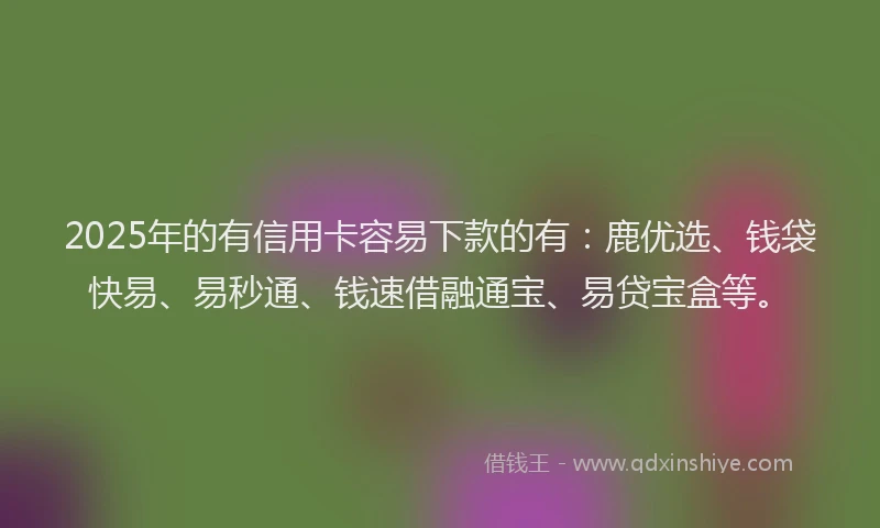 2025年的有信用卡容易下款的有：鹿优选、钱袋快易、易秒通、钱速借融通宝、易贷宝盒等。