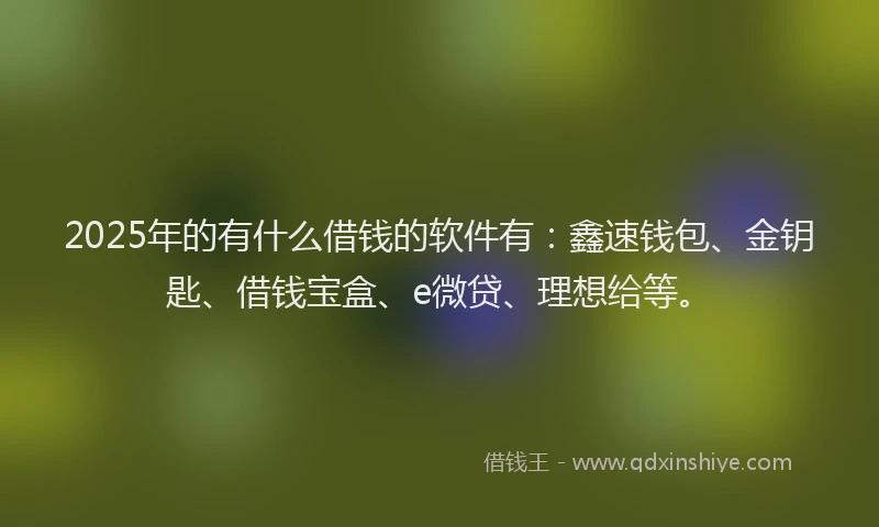 2025年的有什么借钱的软件有：鑫速钱包、金钥匙、借钱宝盒、e微贷、理想给等。