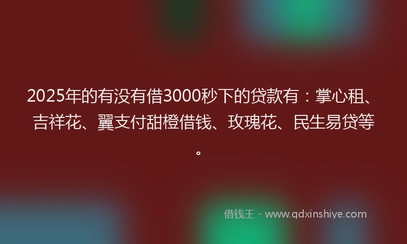 2025年的有没有借3000秒下的贷款有：掌心租、吉祥花、翼支付甜橙借钱、玫瑰花、民生易贷等。