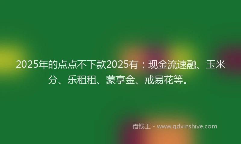 2025年的点点不下款2025有：现金流速融、玉米分、乐租租、蒙享金、戒易花等。