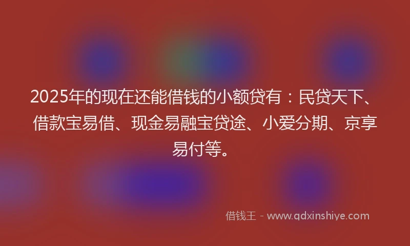 2025年的现在还能借钱的小额贷有：民贷天下、借款宝易借、现金易融宝贷途、小爱分期、京享易付等。
