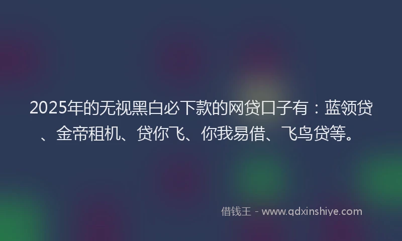 2025年的无视黑白必下款的网贷口子有：蓝领贷、金帝租机、贷你飞、你我易借、飞鸟贷等。