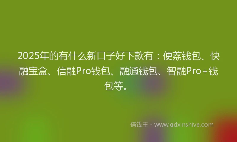 2025年的有什么新口子好下款有：便荔钱包、快融宝盒、信融Pro钱包、融通钱包、智融Pro+钱包等。