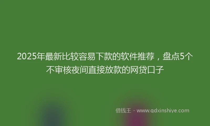 2025年最新比较容易下款的软件推荐，盘点5个不审核夜间直接放款的网贷口子