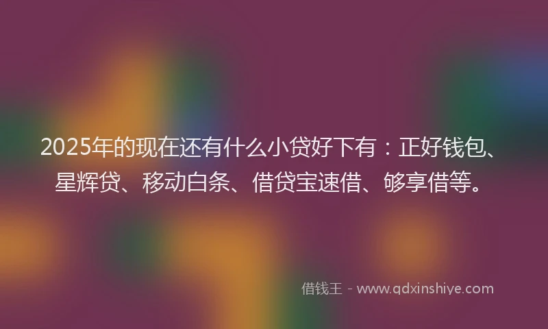 2025年的现在还有什么小贷好下有：正好钱包、星辉贷、移动白条、借贷宝速借、够享借等。