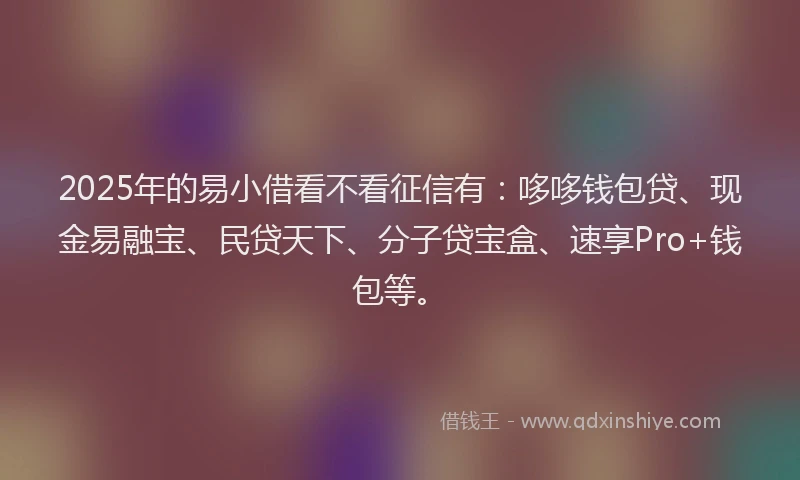 2025年的易小借看不看征信有：哆哆钱包贷、现金易融宝、民贷天下、分子贷宝盒、速享Pro+钱包等。