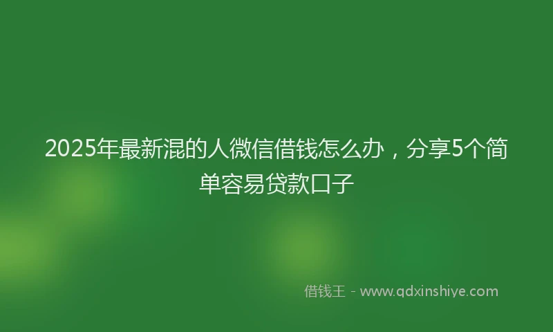 2025年最新混的人微信借钱怎么办，分享5个简单容易贷款口子