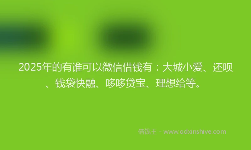 2025年的有谁可以微信借钱有：大城小爱、还呗、钱袋快融、哆哆贷宝、理想给等。