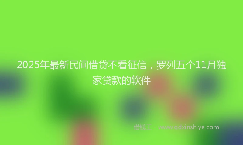 2025年最新民间借贷不看征信，罗列五个11月独家贷款的软件