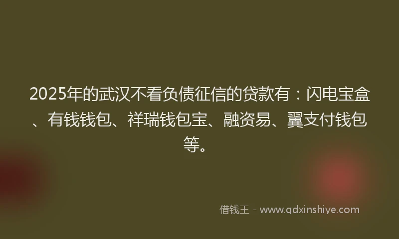 2025年的武汉不看负债征信的贷款有：闪电宝盒、有钱钱包、祥瑞钱包宝、融资易、翼支付钱包等。