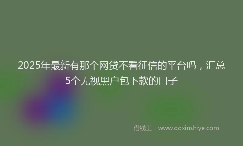 2025年最新有那个网贷不看征信的平台吗，汇总5个无视黑户包下款的口子