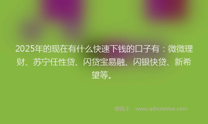 2025年的现在有什么快速下钱的口子有：微微理财、苏宁任性贷、闪贷宝易融、闪银快贷、新希望等。