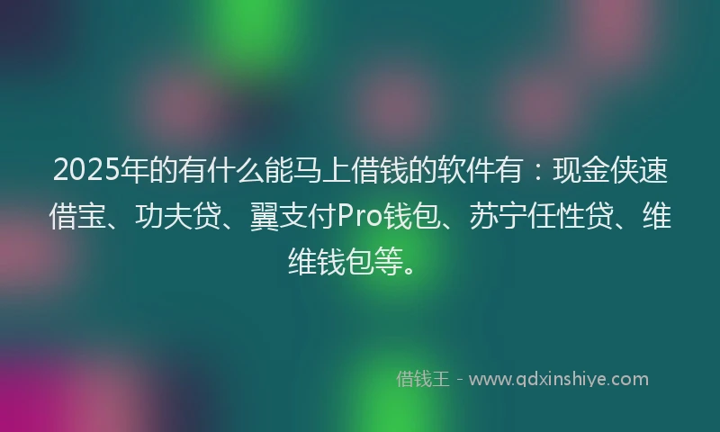 2025年的有什么能马上借钱的软件有：现金侠速借宝、功夫贷、翼支付Pro钱包、苏宁任性贷、维维钱包等。