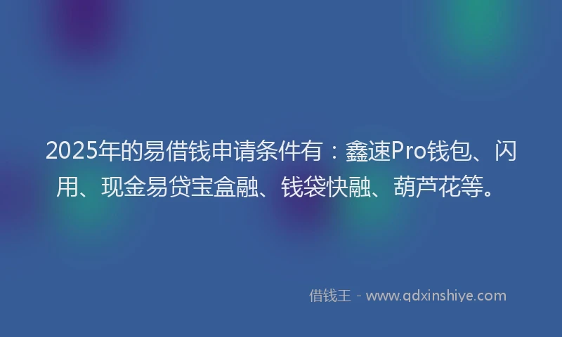 2025年的易借钱申请条件有：鑫速Pro钱包、闪用、现金易贷宝盒融、钱袋快融、葫芦花等。