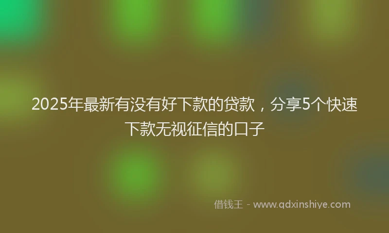 2025年最新有没有好下款的贷款，分享5个快速下款无视征信的口子