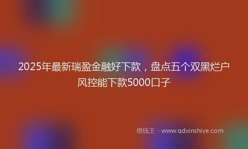 2025年最新瑞盈金融好下款，盘点五个双黑烂户风控能下款5000口子