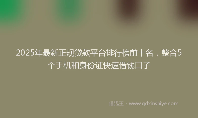 2025年最新正规贷款平台排行榜前十名，整合5个手机和身份证快速借钱口子