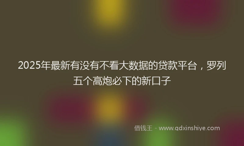2025年最新有没有不看大数据的贷款平台，罗列五个高炮必下的新口子