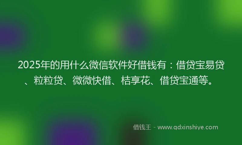 2025年的用什么微信软件好借钱有：借贷宝易贷、粒粒贷、微微快借、桔享花、借贷宝通等。