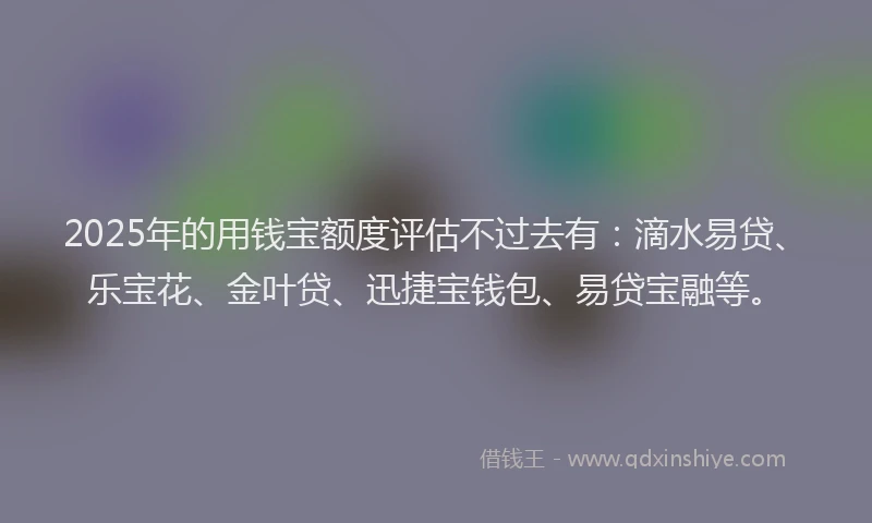 2025年的用钱宝额度评估不过去有：滴水易贷、乐宝花、金叶贷、迅捷宝钱包、易贷宝融等。