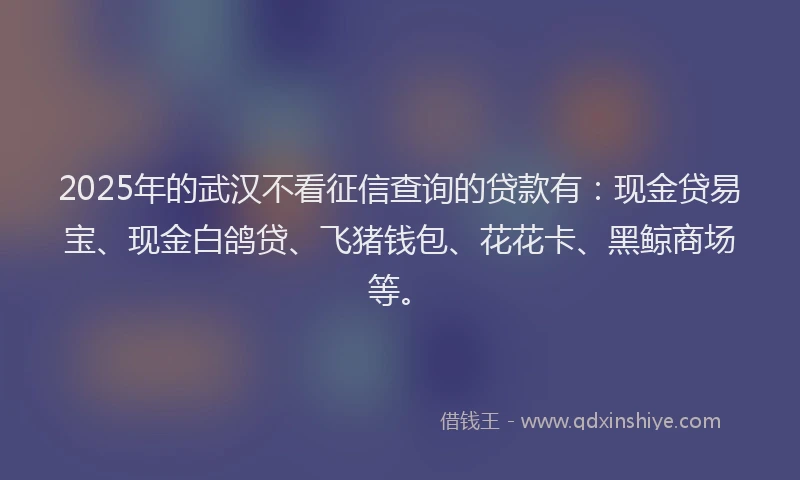 2025年的武汉不看征信查询的贷款有：现金贷易宝、现金白鸽贷、飞猪钱包、花花卡、黑鲸商场等。