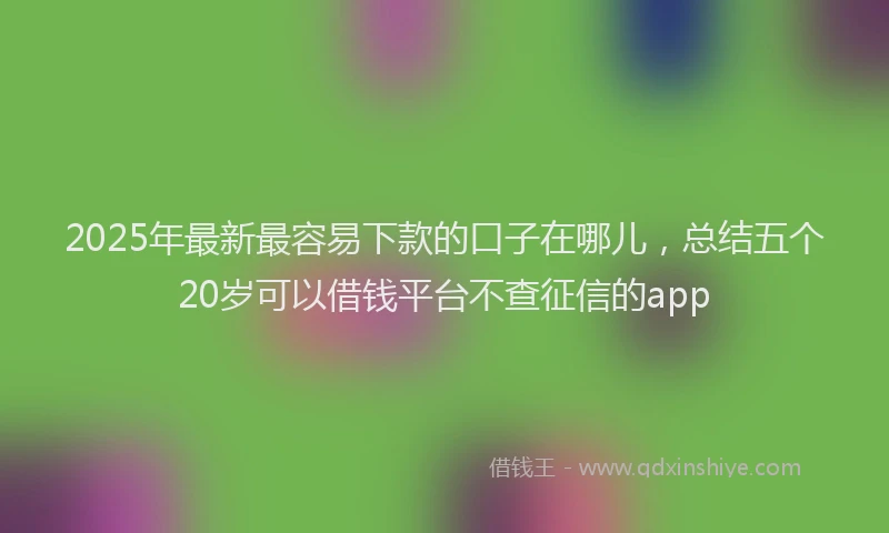 2025年最新最容易下款的口子在哪儿，总结五个20岁可以借钱平台不查征信的app