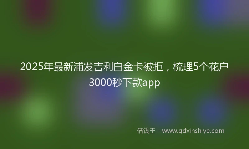 2025年最新浦发吉利白金卡被拒，梳理5个花户3000秒下款app
