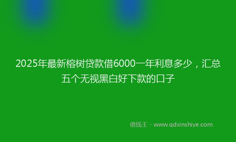 2025年最新榕树贷款借6000一年利息多少，汇总五个无视黑白好下款的口子