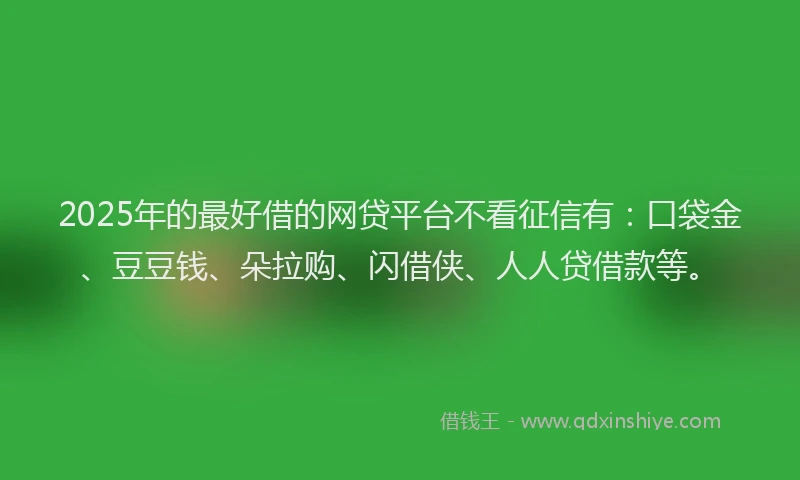 2025年的最好借的网贷平台不看征信有：口袋金、豆豆钱、朵拉购、闪借侠、人人贷借款等。