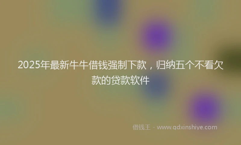 2025年最新牛牛借钱强制下款，归纳五个不看欠款的贷款软件
