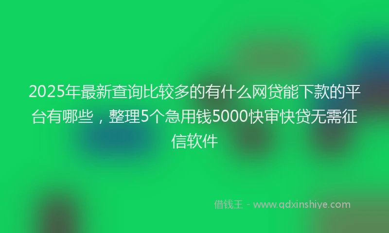 2025年最新查询比较多的有什么网贷能下款的平台有哪些，整理5个急用钱5000快审快贷无需征信软件