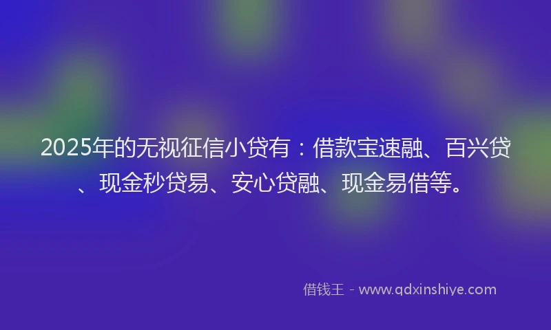 2025年的无视征信小贷有：借款宝速融、百兴贷、现金秒贷易、安心贷融、现金易借等。