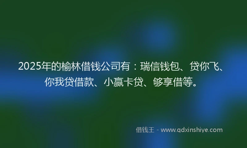 2025年的榆林借钱公司有：瑞信钱包、贷你飞、你我贷借款、小赢卡贷、够享借等。