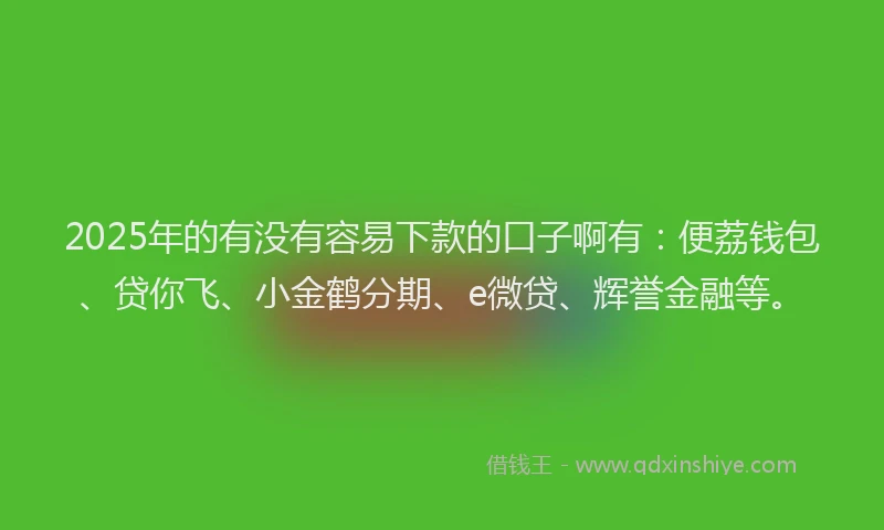 2025年的有没有容易下款的口子啊有：便荔钱包、贷你飞、小金鹤分期、e微贷、辉誉金融等。