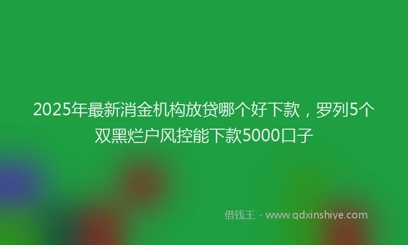 2025年最新消金机构放贷哪个好下款，罗列5个双黑烂户风控能下款5000口子