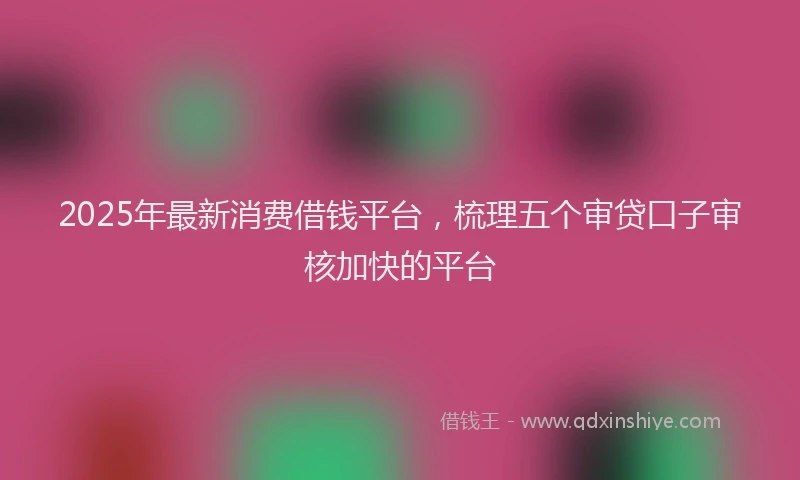 2025年最新消费借钱平台，梳理五个审贷口子审核加快的平台