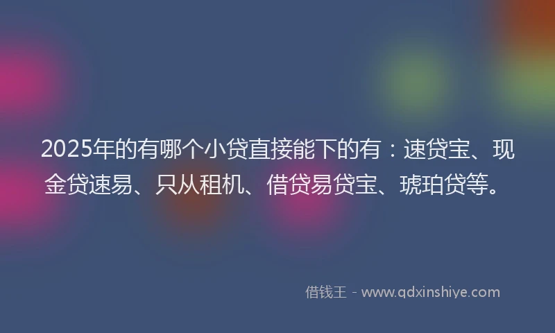 2025年的有哪个小贷直接能下的有：速贷宝、现金贷速易、只从租机、借贷易贷宝、琥珀贷等。