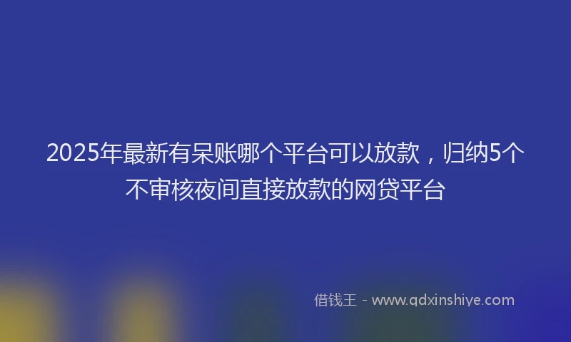 2025年最新有呆账哪个平台可以放款，归纳5个不审核夜间直接放款的网贷平台