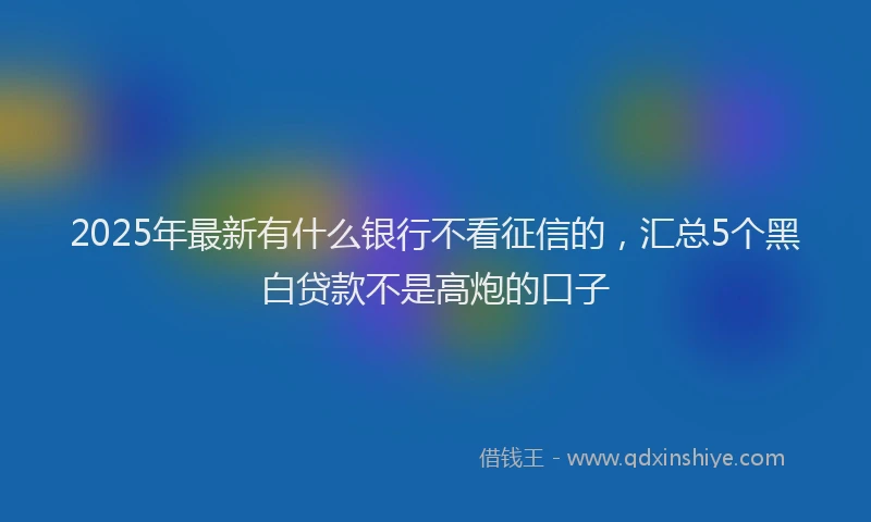2025年最新有什么银行不看征信的，汇总5个黑白贷款不是高炮的口子