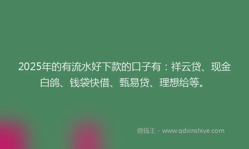 2025年的有流水好下款的口子有：祥云贷、现金白鸽、钱袋快借、甄易贷、理想给等。