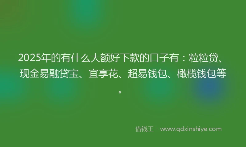 2025年的有什么大额好下款的口子有：粒粒贷、现金易融贷宝、宜享花、超易钱包、橄榄钱包等。