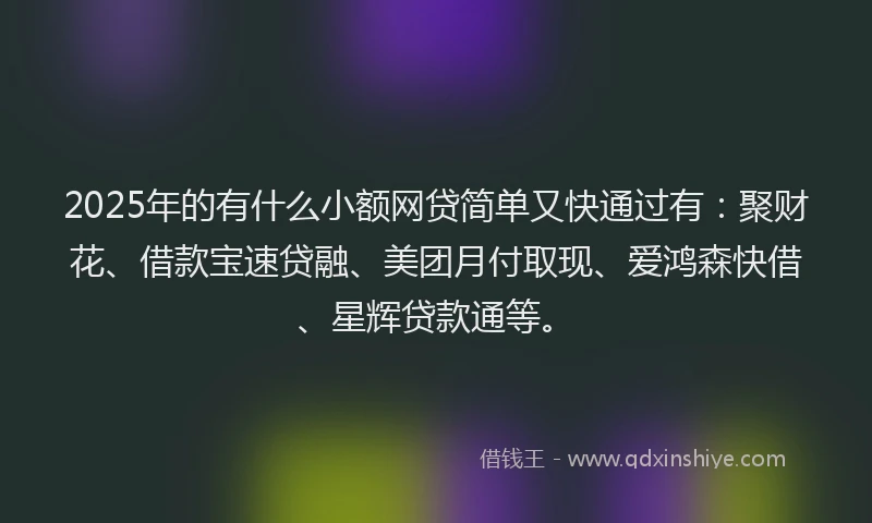 2025年的有什么小额网贷简单又快通过有：聚财花、借款宝速贷融、美团月付取现、爱鸿森快借、星辉贷款通等。